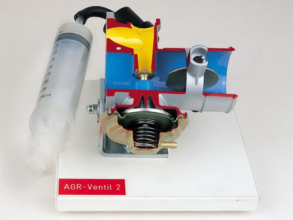 exhaust gas recirculation valve II